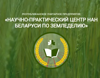 Мы разработали и наполнили новый сайт для государственной организации